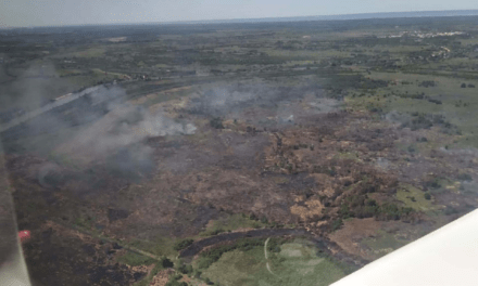 Entre Ríos: Alerta roja por riesgo extremo de incendios