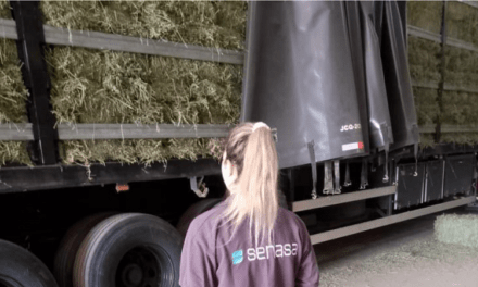 Desde Chaco se exportaron 527 toneladas de alfalfa a Brasil