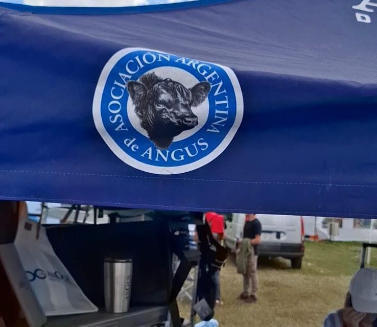 La carne Angus certificada brilló en Expoagro 2025