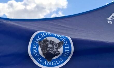 La carne Angus certificada brilló en Expoagro 2025
