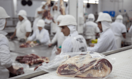 Argentina bate récords en exportaciones de carne vacuna