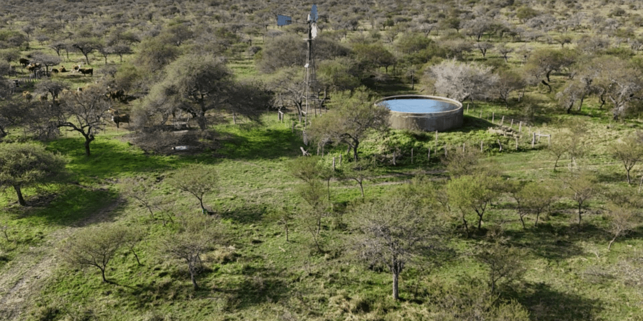 Entre Ríos financiará proyectos de manejo y preservación del bosque nativo