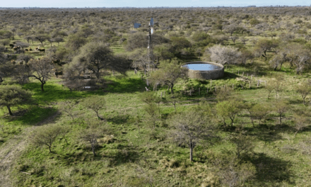 Entre Ríos financiará proyectos de manejo y preservación del bosque nativo