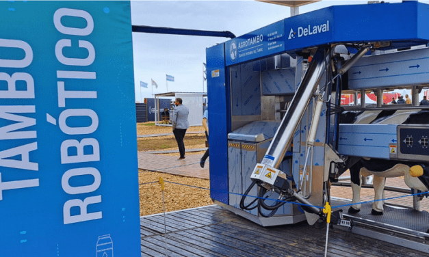 En la Argentina, hay más de 400 tambos robotizados funcionando