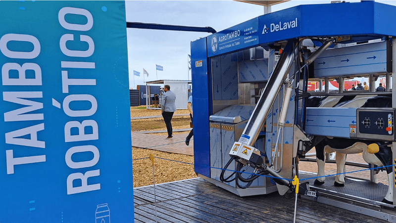 En la Argentina, hay más de 400 tambos robotizados funcionando