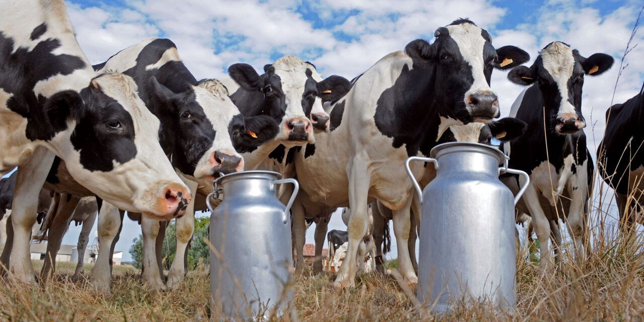 ¿Cuánto rinde el salario frente a los alimentos básicos?