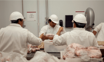 Récord de producción y consumo de carne porcina