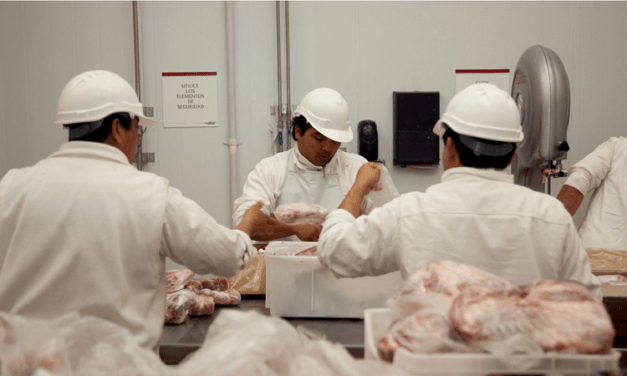 Récord de producción y consumo de carne porcina