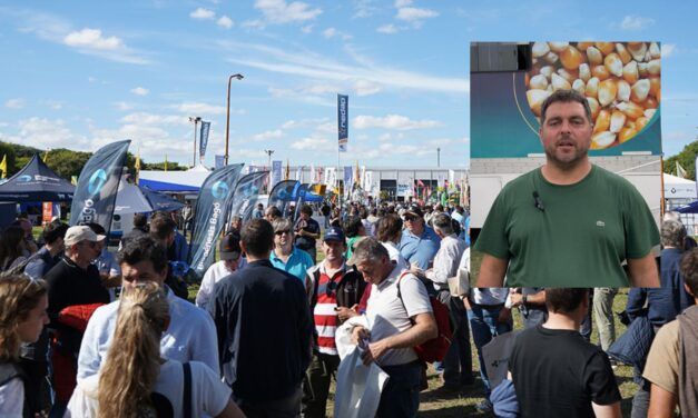 Un año bisagra que busca generar condiciones para la lechería argentina