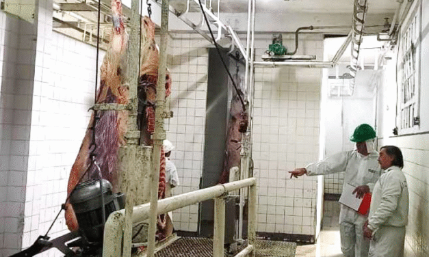 Se inició inspección a frigoríficos con habilitación en Entre Ríos