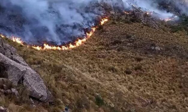 Incendios rurales en Córdoba: urge una prevención real