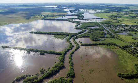 Buenos Aires decretó emergencia agropecuaria en 12 municipios