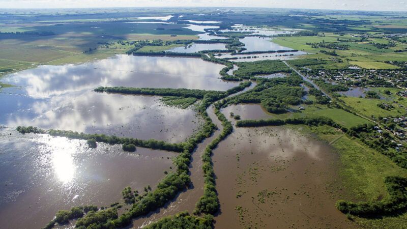 Buenos Aires decretó emergencia agropecuaria en 12 municipios