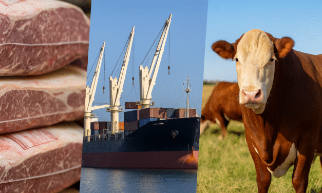 Exportaciones de carne: ligera recuperación en abril
