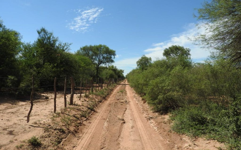 Picadas perimetrales: Cómo funcionan y por qué son fundamentales para evitar incendios