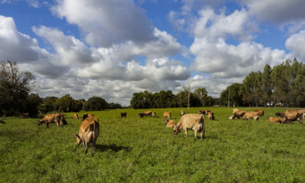Prevención de enfermedades transmisibles de los animales a las personas