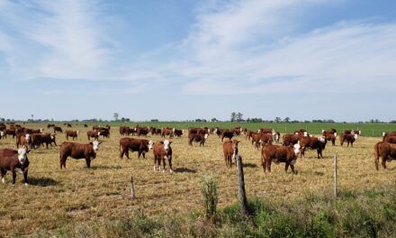 Resistencia antiparasitaria: una amenaza silenciosa