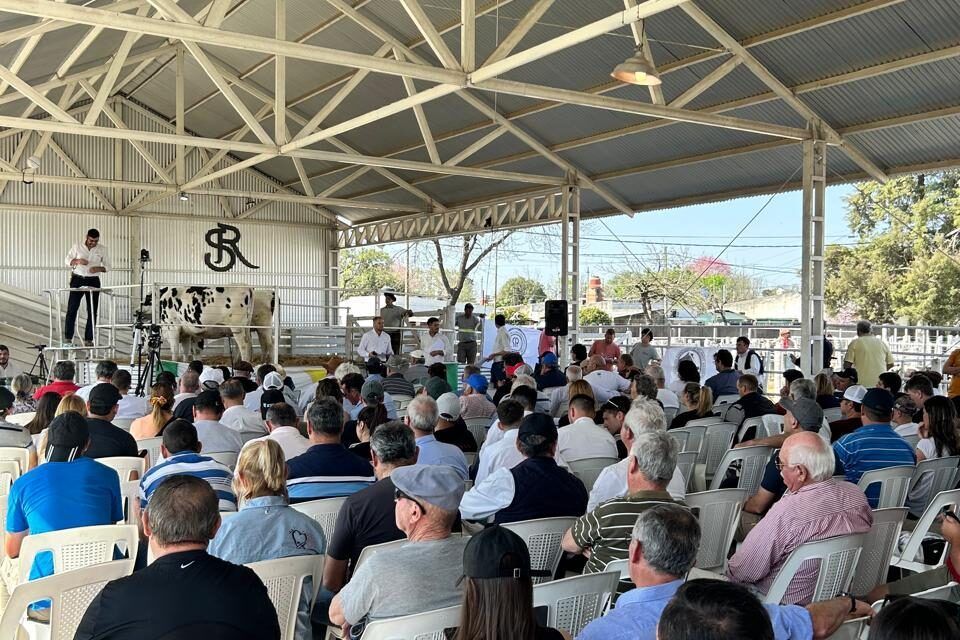 ExpoRural Rafaela 2025: La ganadería se prepara para brillar