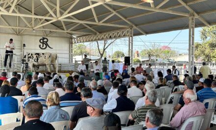 ExpoRural Rafaela 2025: La ganadería se prepara para brillar