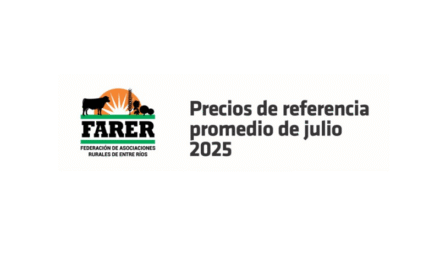 Entre Ríos: en julio, hubo categorías que tendieron a la suba de precios