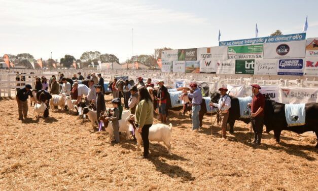 Expo Rural San Justo: orgullo de la plaza ganadera santafesina