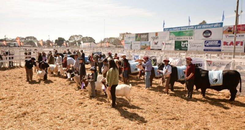 Expo Rural San Justo: orgullo de la plaza ganadera santafesina