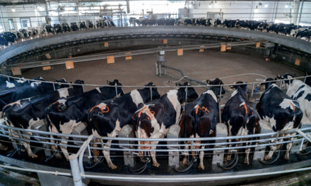 Expansión tecnológica lechera impulsa récord de producción