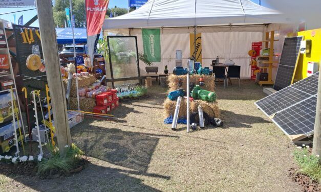 Innovación en insumos ganaderos en San Justo