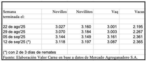 Cañuelas: semana de recomposición tras las lluvias