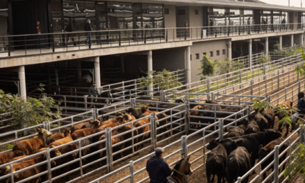 Nuevo protocolo de bienestar animal en el Mercado de Cañuelas