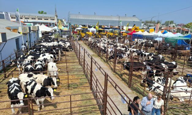 Lechería argentina: entre desafíos y oportunidades globales