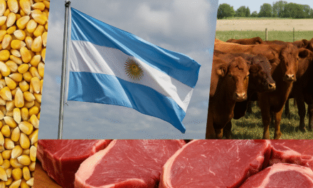 Todo lo que tenés que saber sobre la suspensión de retenciones al agro