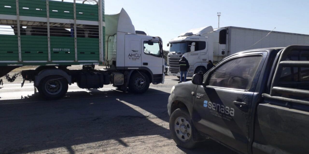 SENASA moderniza control de lavaderos de transportes de animales