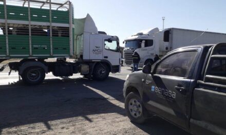 SENASA moderniza control de lavaderos de transportes de animales