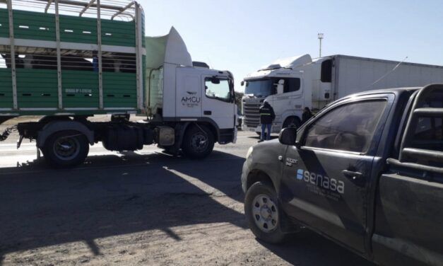 SENASA moderniza control de lavaderos de transportes de animales