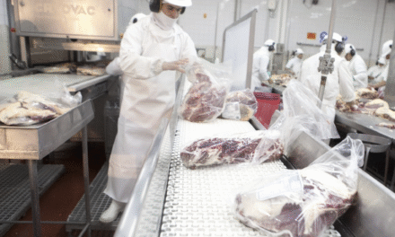 Consumo de carnes en alza: señal positiva para el mercado