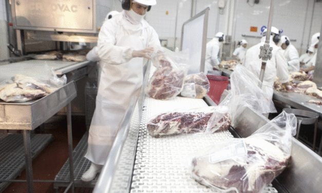 Consumo de carnes en alza: señal positiva para el mercado