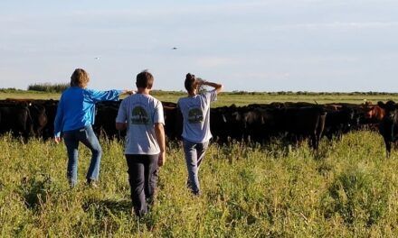 Ganadería regenerativa: triple impacto para el campo argentino