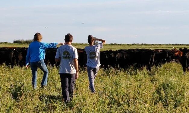 Ganadería regenerativa: triple impacto para el campo argentino