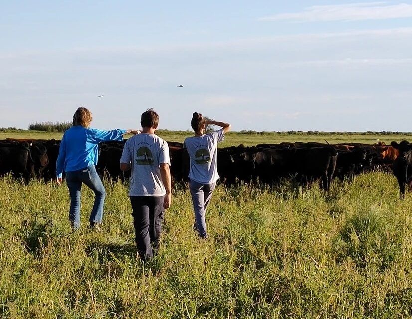 Ganadería regenerativa: triple impacto para el campo argentino