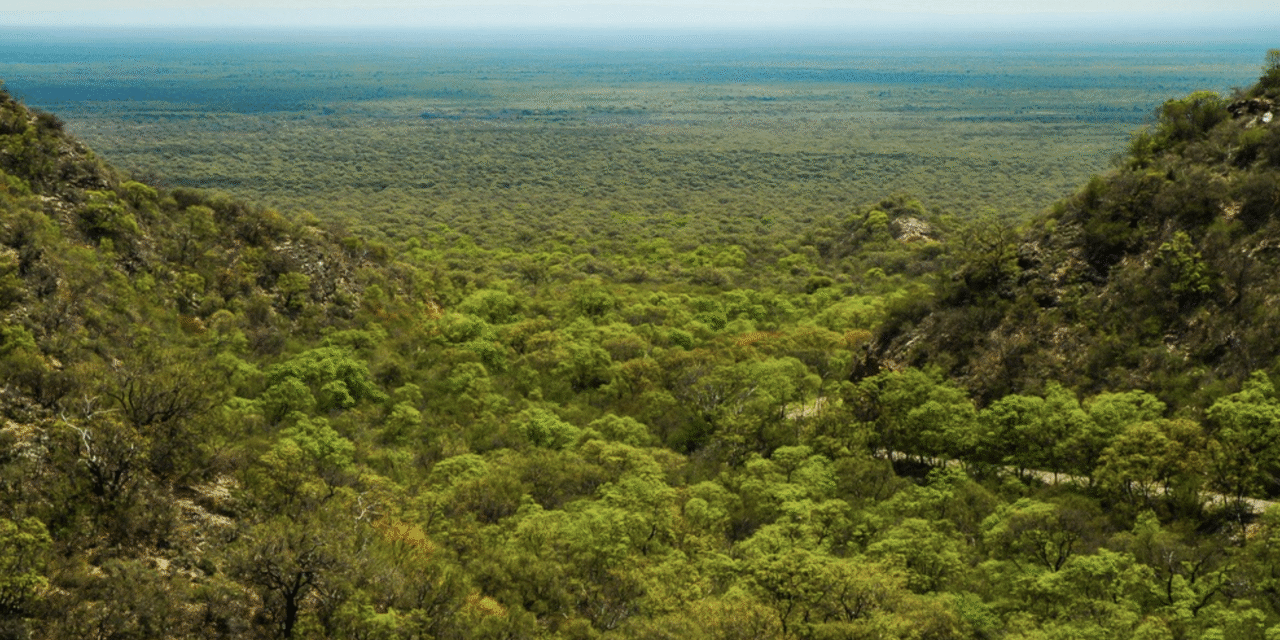 Córdoba impulsa el pago por conservación del bosque nativo