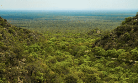 Córdoba impulsa el pago por conservación del bosque nativo