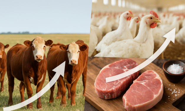 Carnes argentinas 2025: triple suba en producción, consumo y valor