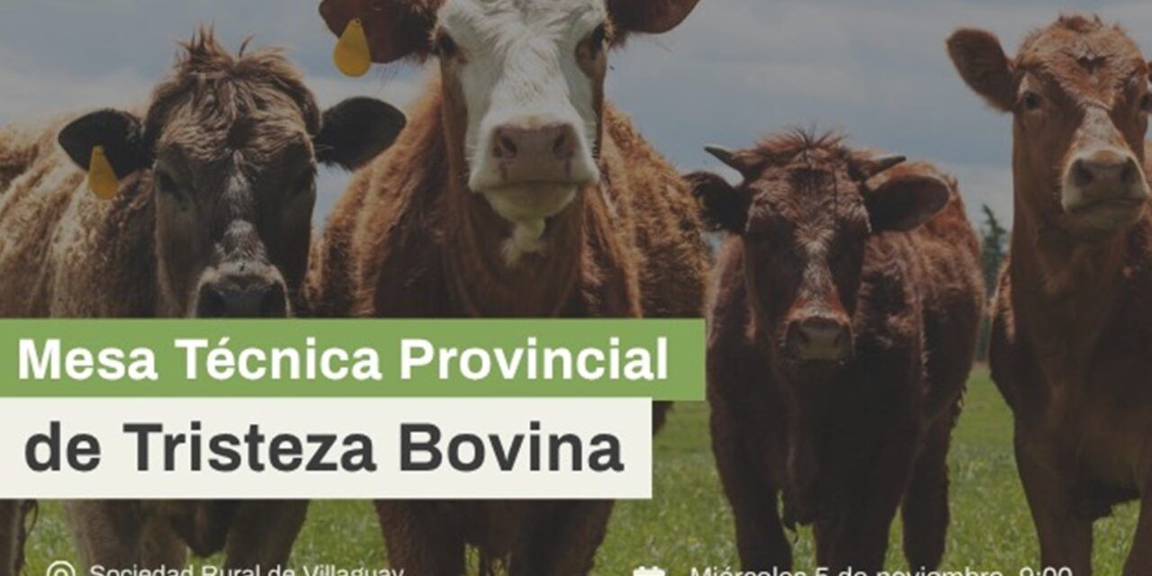 Entre Ríos lanza mesa técnica para frenar la tristeza bovina