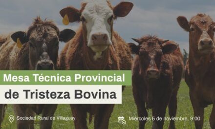 Entre Ríos lanza mesa técnica para frenar la tristeza bovina