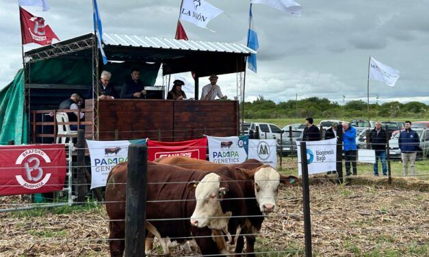 Ganados Remates: respaldo y expansión ganadera en el norte santafesino
