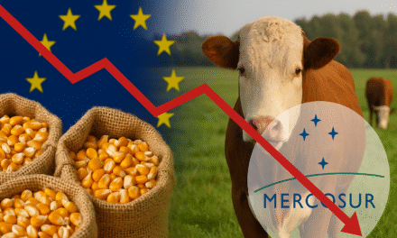 UE activa cláusula agrícola que amenaza el acuerdo Mercosur