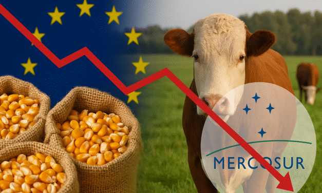 UE activa cláusula agrícola que amenaza el acuerdo Mercosur