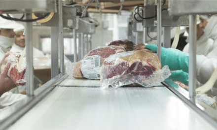 Nuevo régimen de exportación: impulso para la carne argentina
