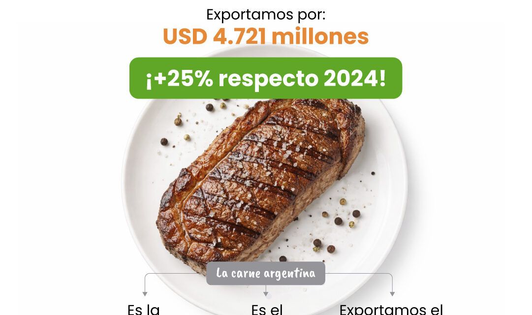 Exportaciones agroindustriales argentinas: 75% del mundo elige nuestros productos